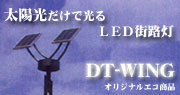 DT-WING